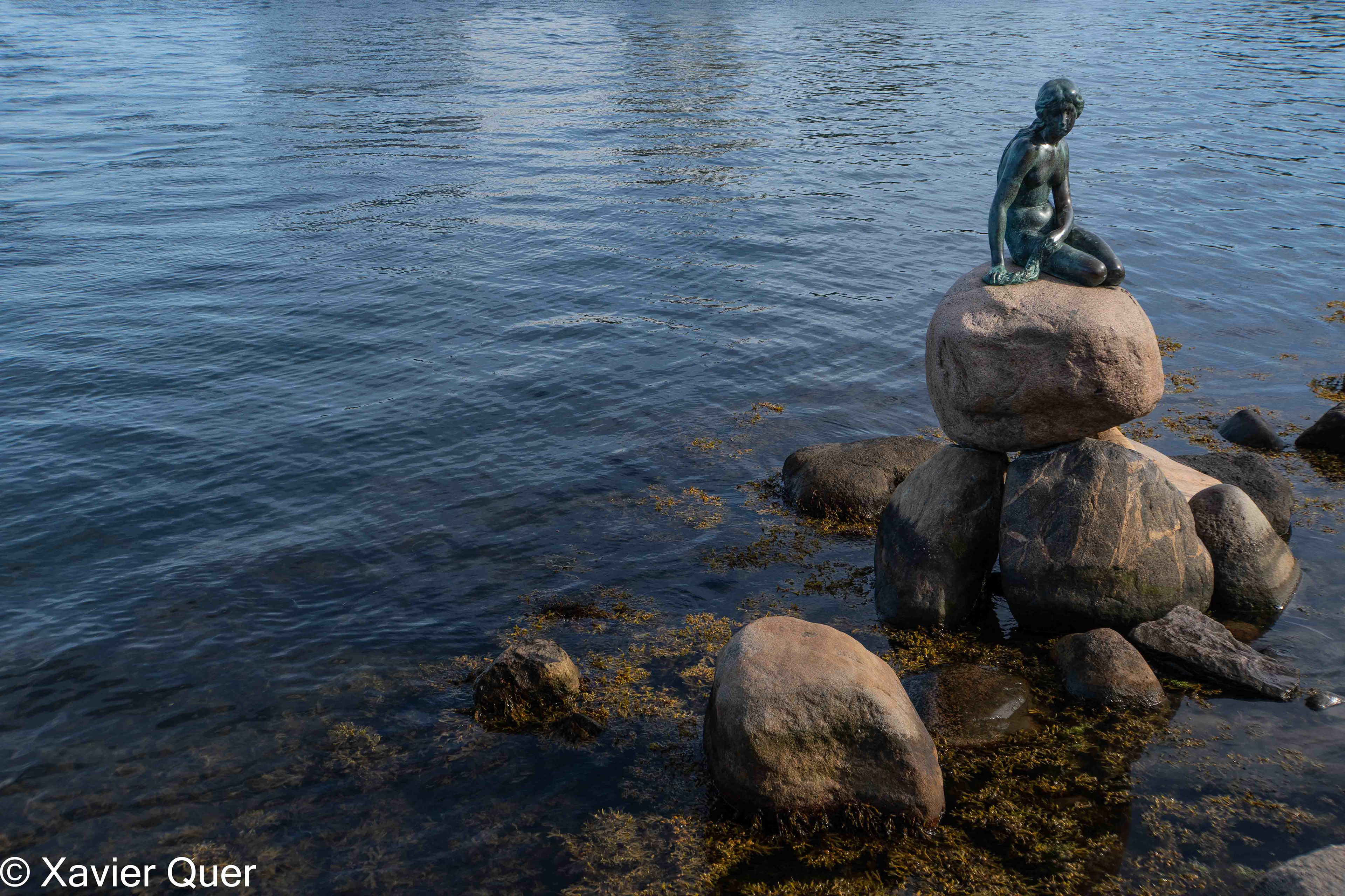 La Sireneta (Den Lille Havfrue), Copenhaguen.