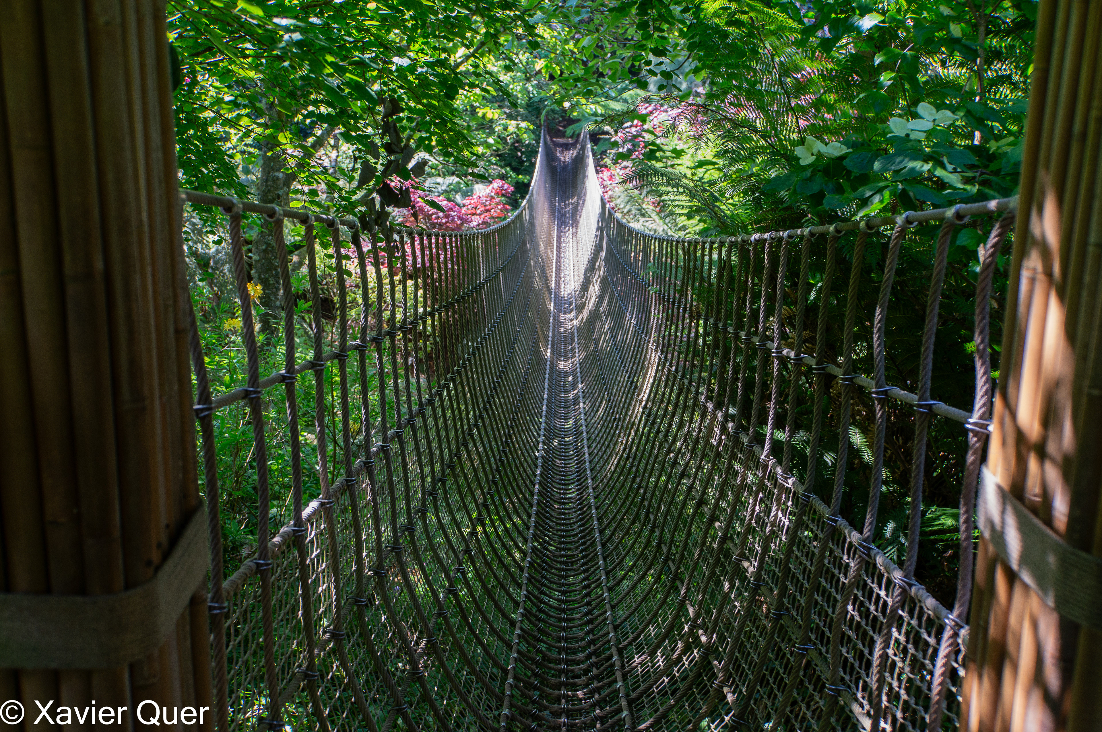 Pont penjant, Lost Gardens of Heligan