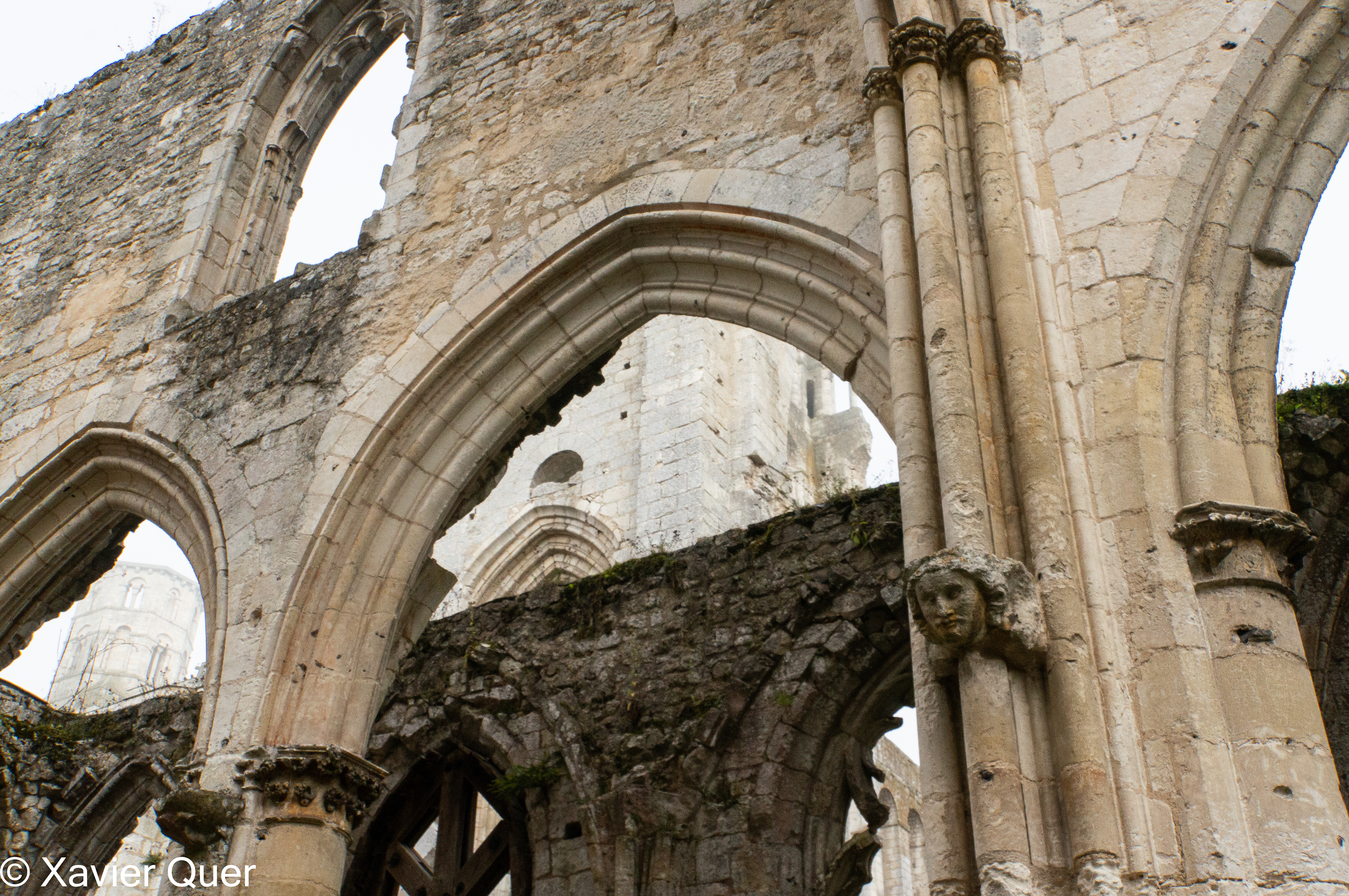 Ruïnes de l'abadia de Jumièges