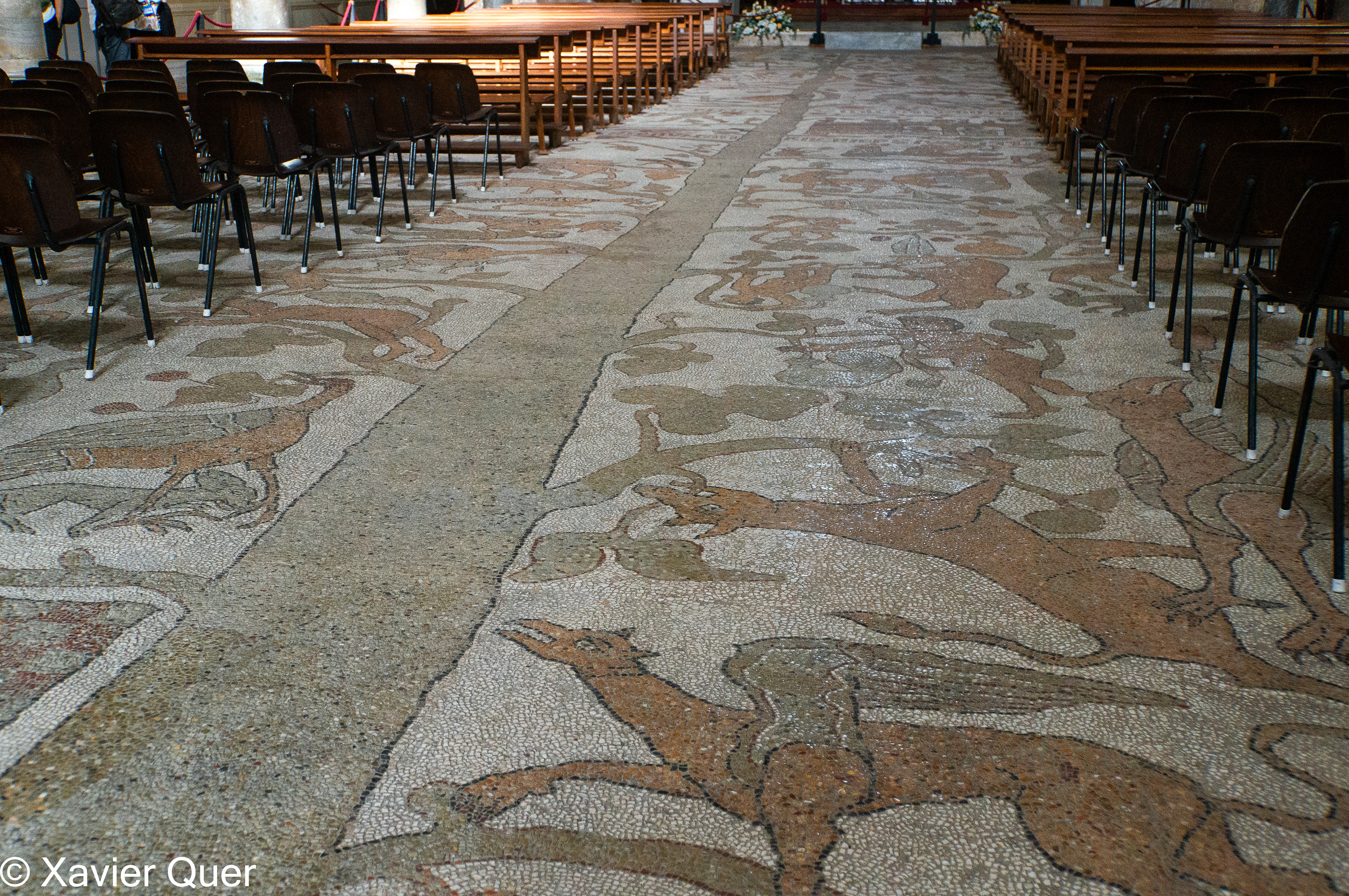 Mosaic s.XI Arbre de la Vida, Catedral d'Òtranto