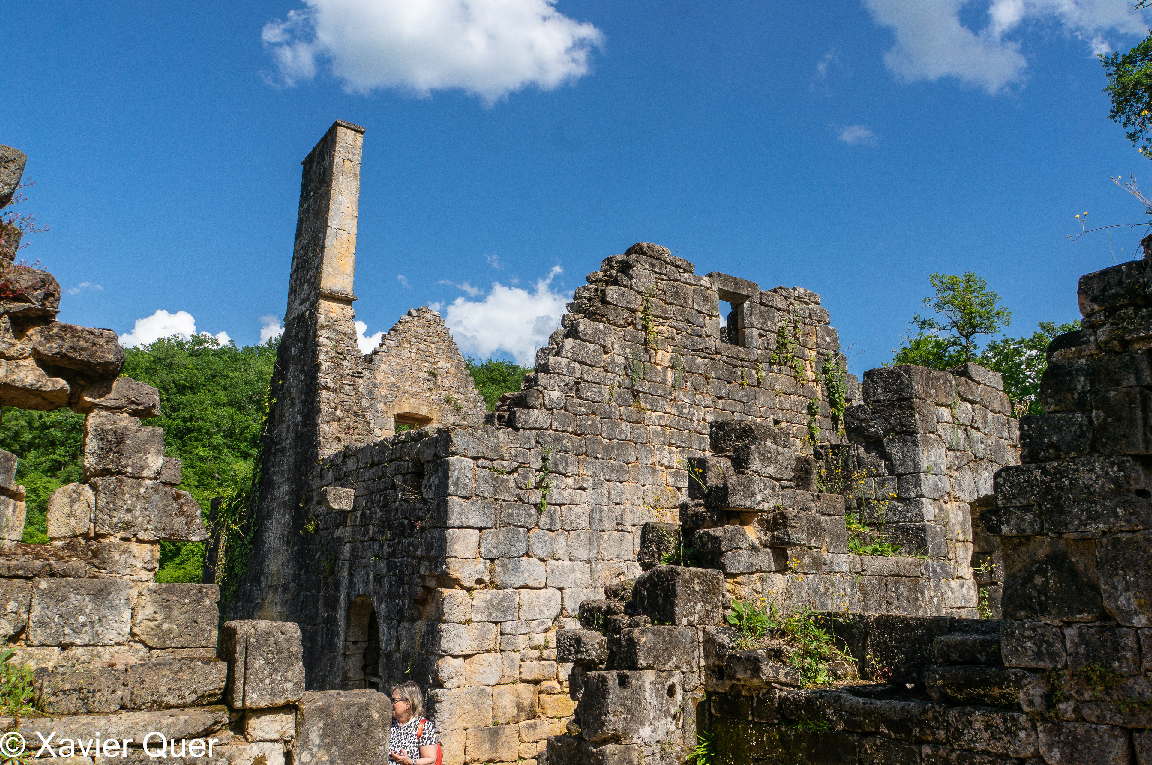 Ruïnes del castell de Commarque, Dordonya, França
