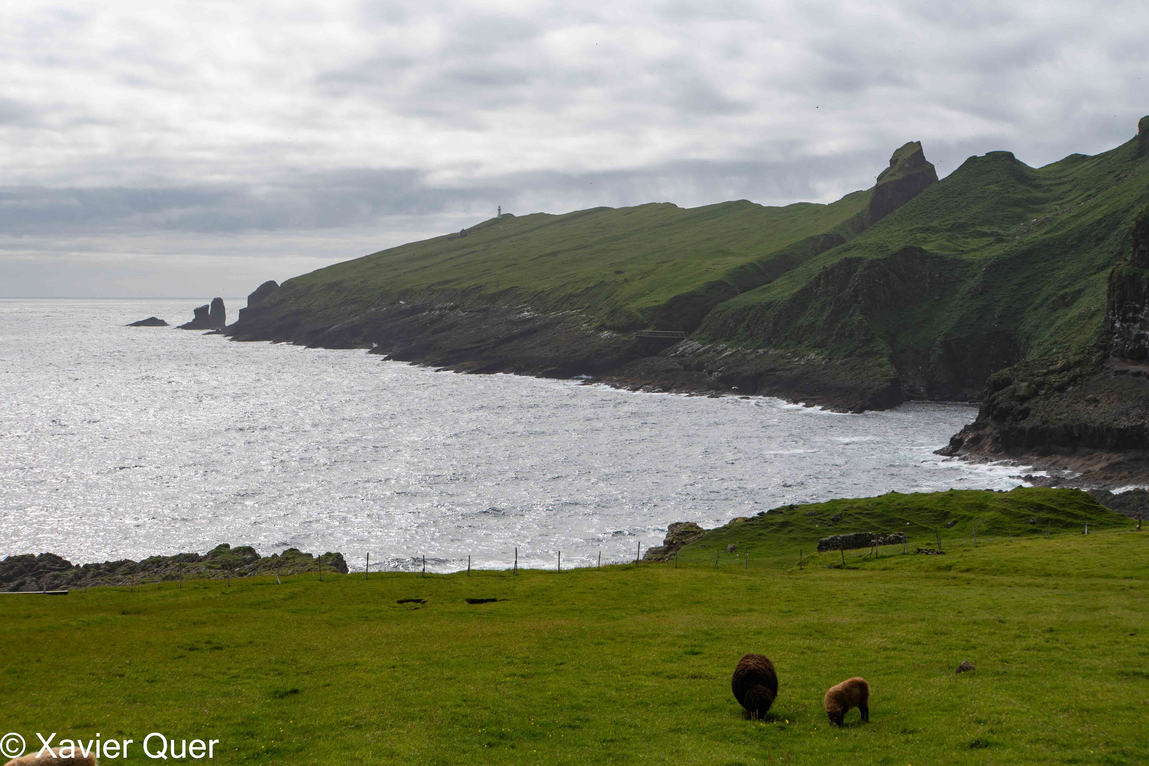Vista parcial dels penya-segats on nidifiquen els frarets a Mykines, Illes Fèroe.