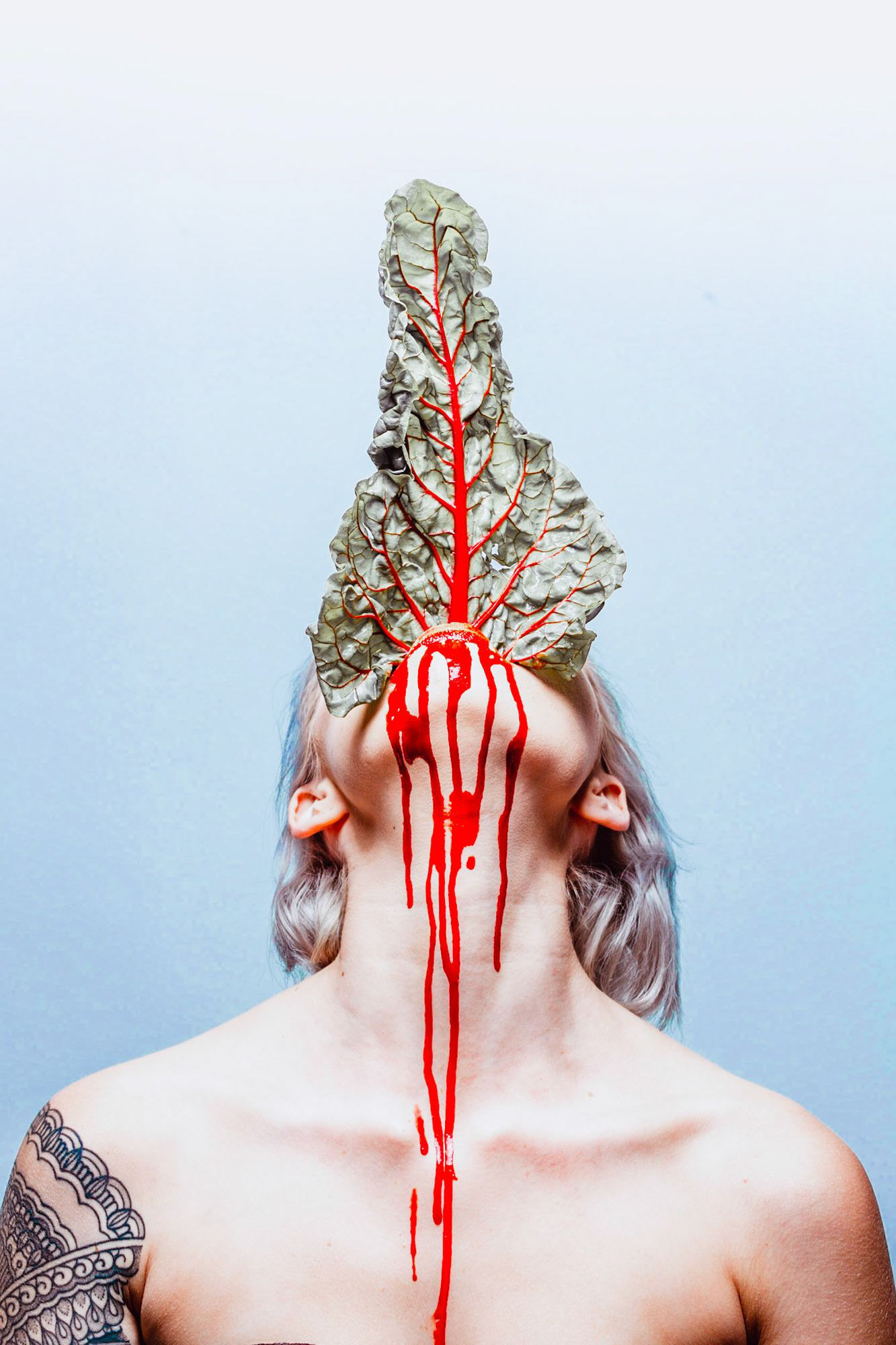 Vein · Epoca Lucida