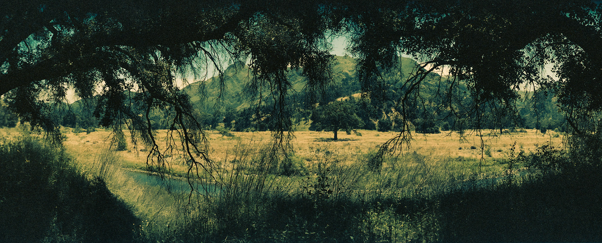 35MM PANORAMIC