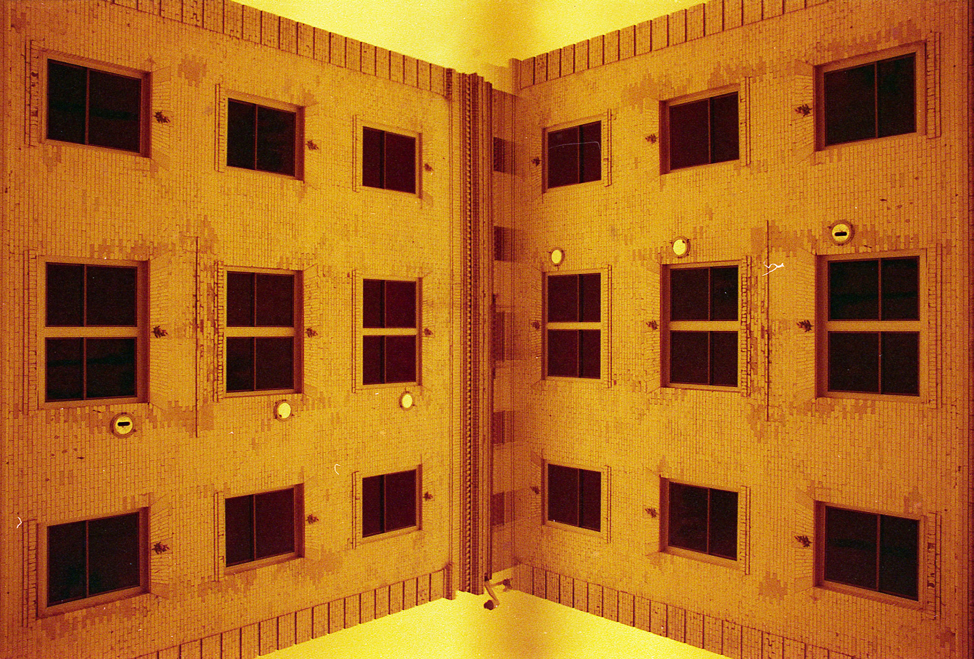 REDSCALE MULTIEXPOSURE