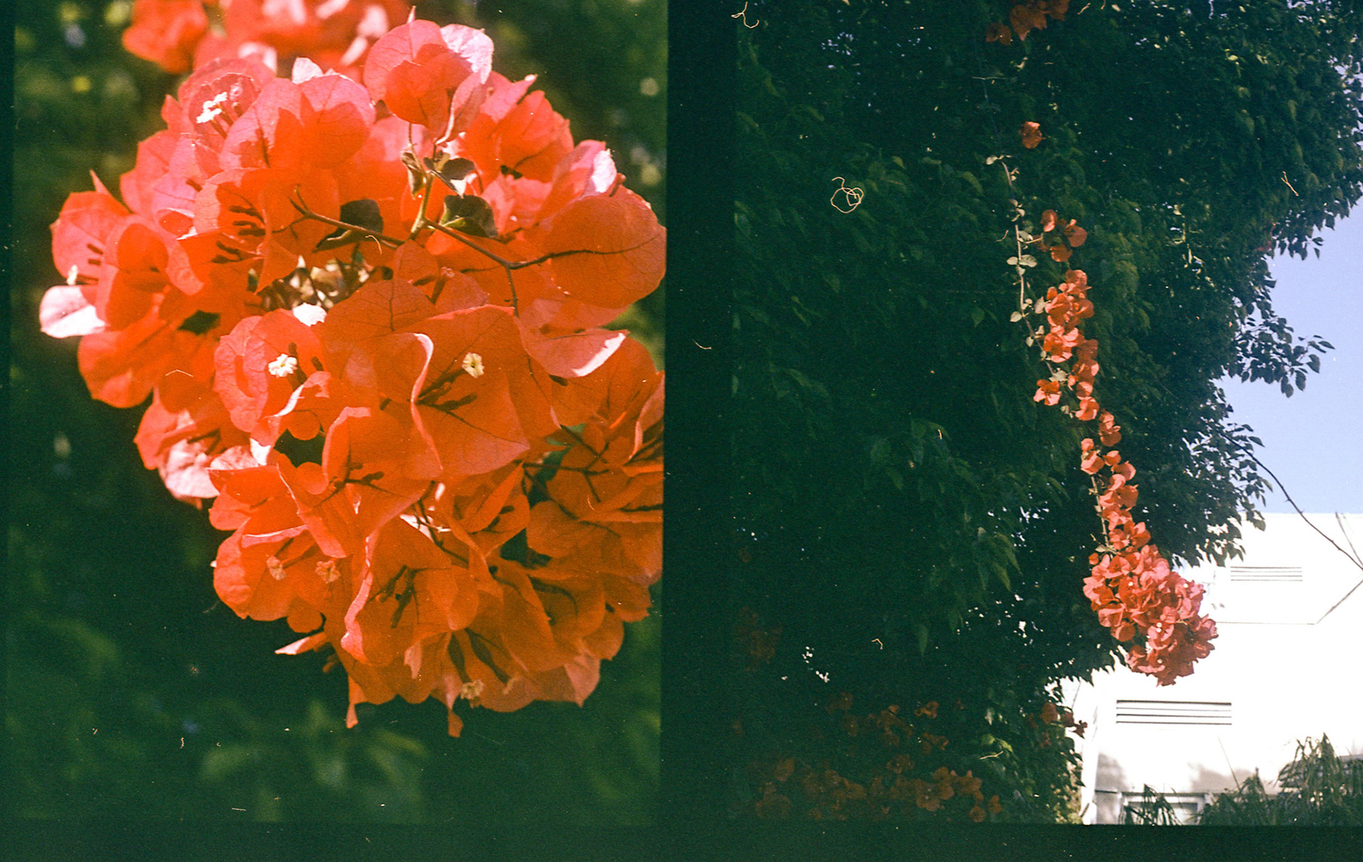 HALF FORMAT