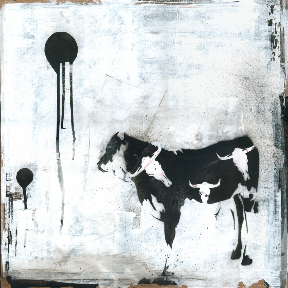 BAD ASS COW 50cm X 50cm