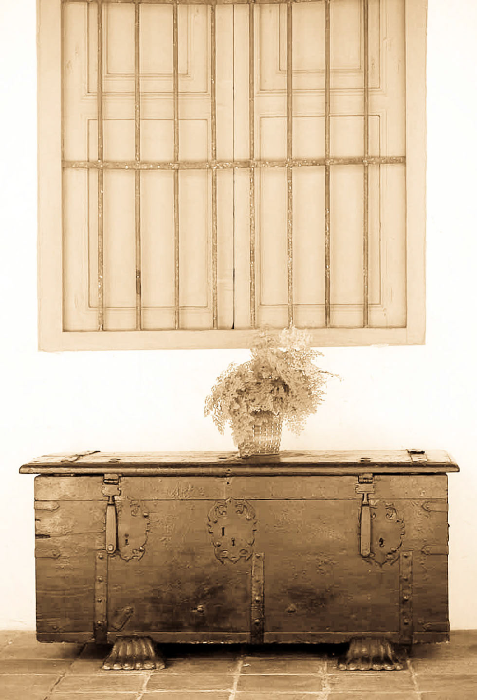 Photo by Jorge Parra.