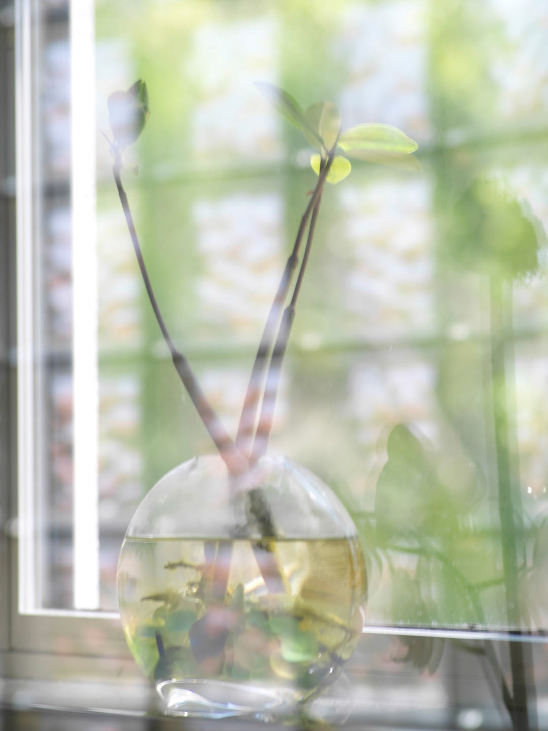 Photo by Jorge Parra.