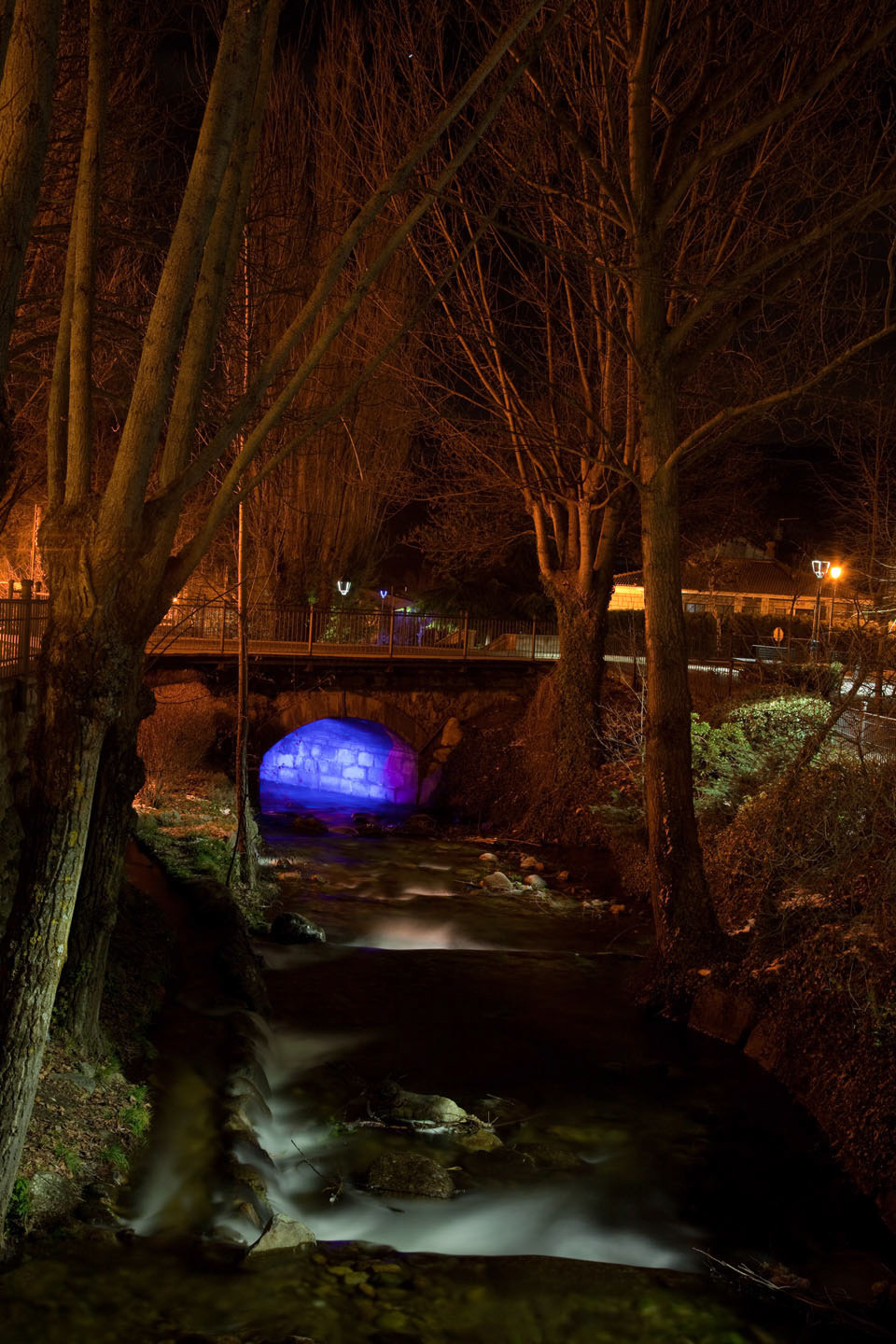 Photo by Jorge Parra.