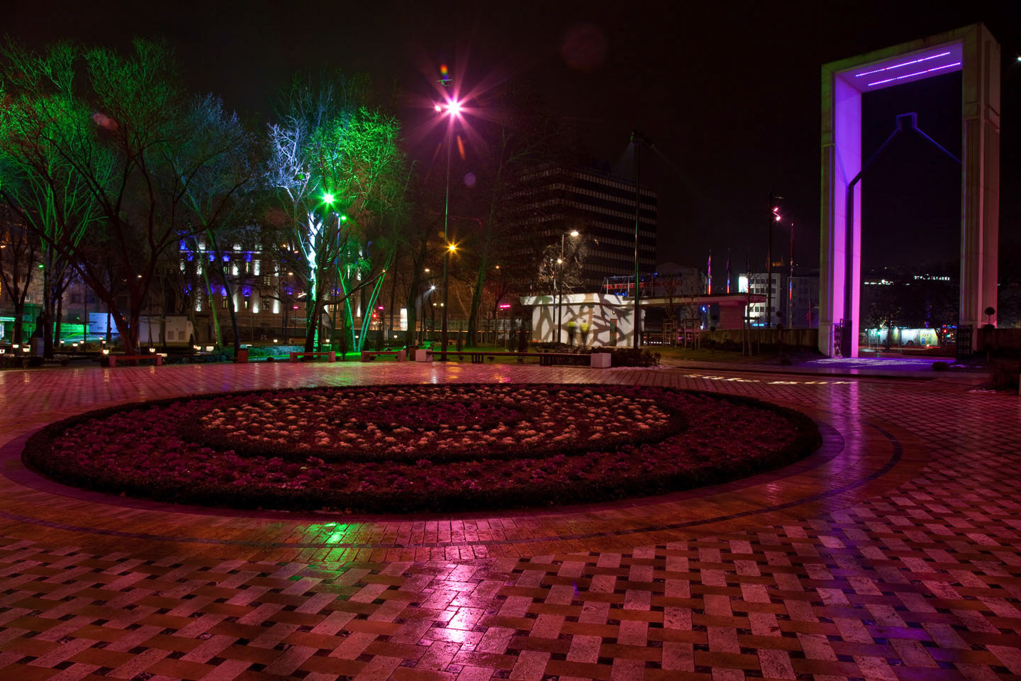 Photo by Jorge Parra.