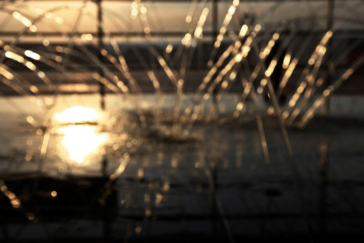 Photo by ©Jorge Parra