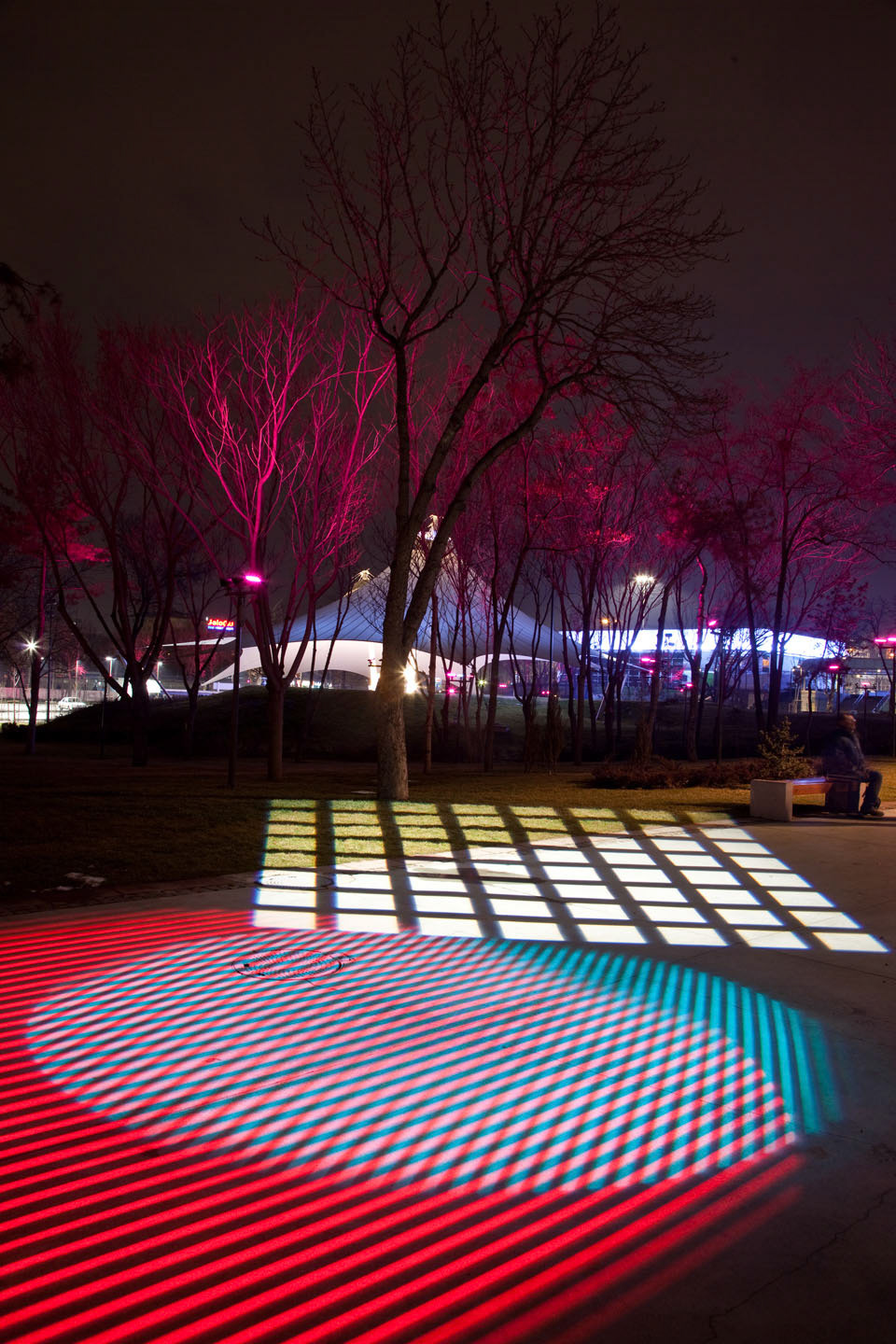 Photo by Jorge Parra.