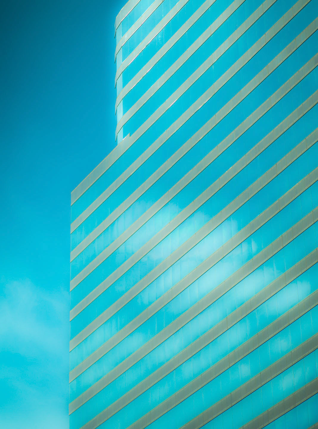 Photo by Jorge Parra.