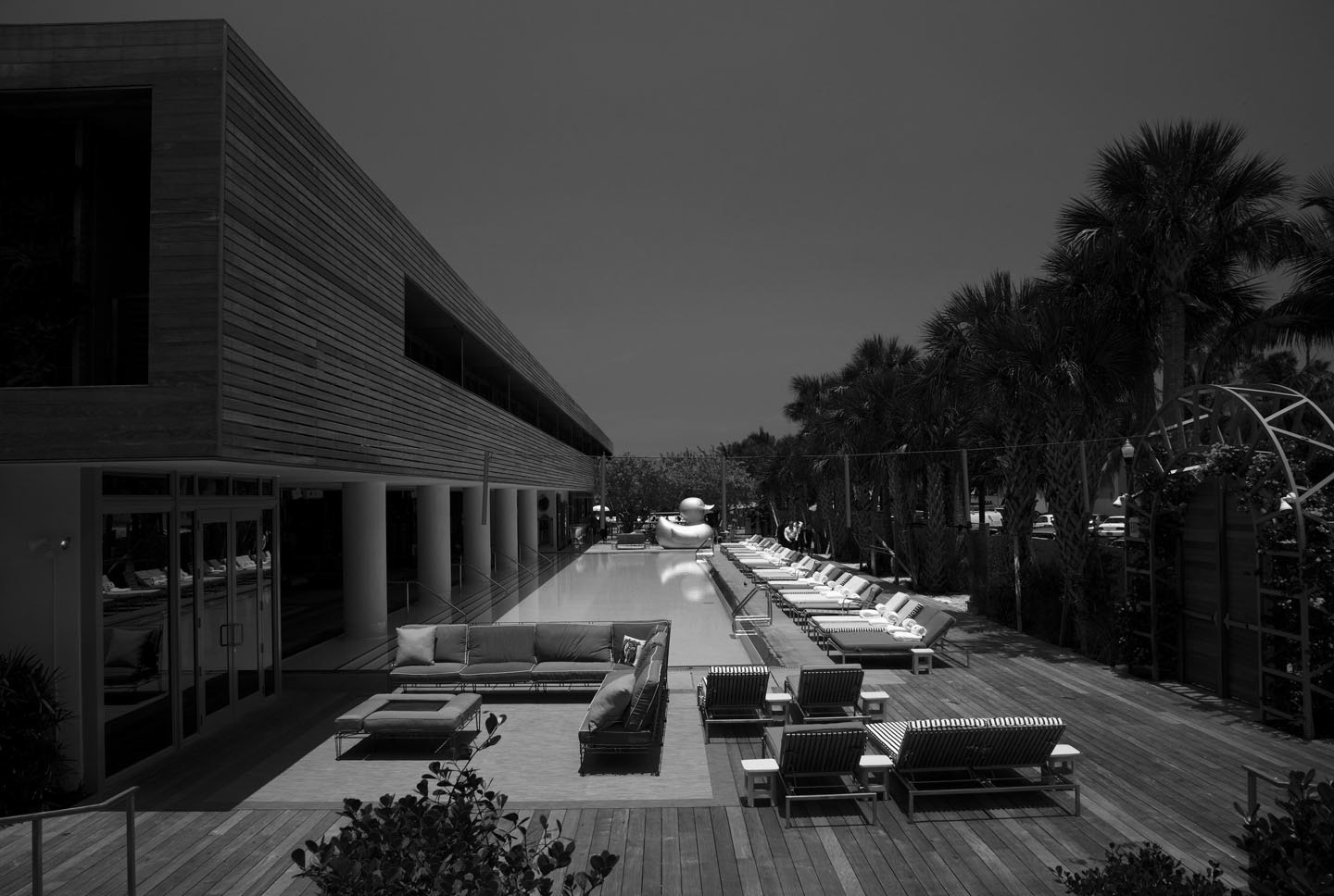 Photo by ©Jorge Parra