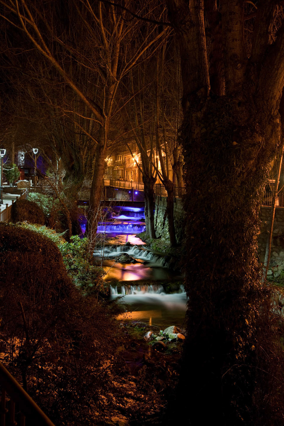 Photo by Jorge Parra.