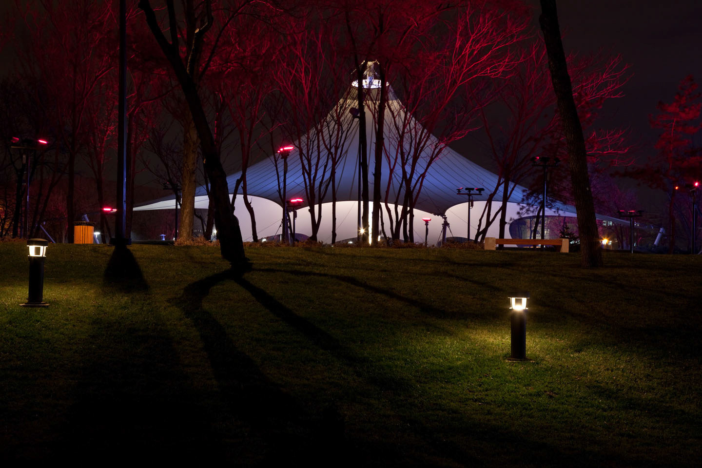 Photo by Jorge Parra.