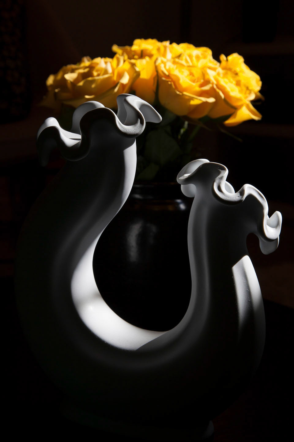 Photo by ©Jorge Parra /www.JorgeParra.com