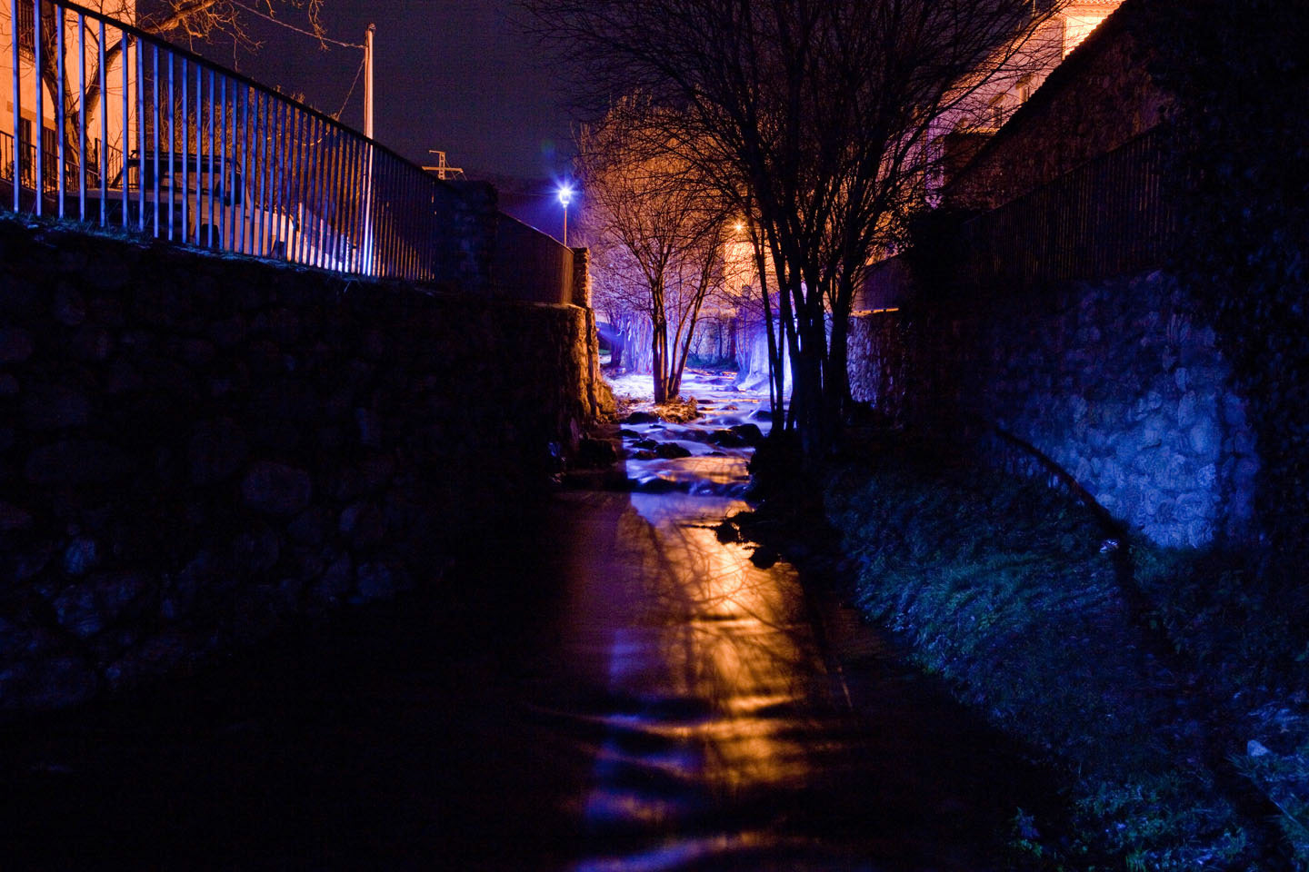 Photo by Jorge Parra.