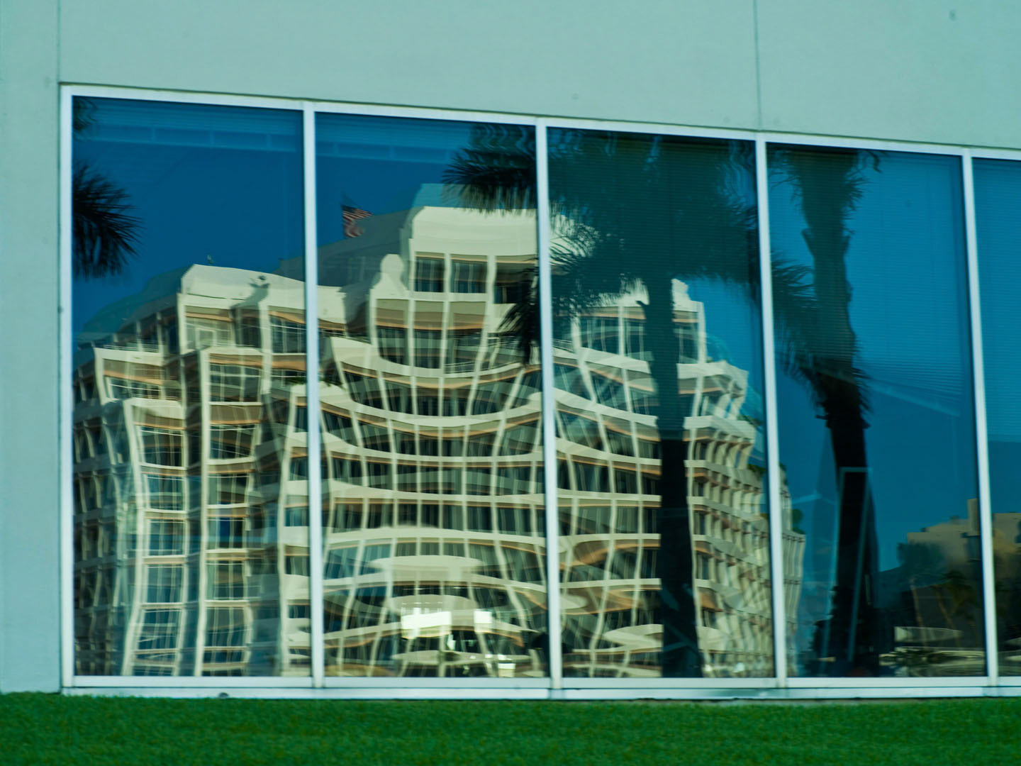 Photo by Jorge Parra.