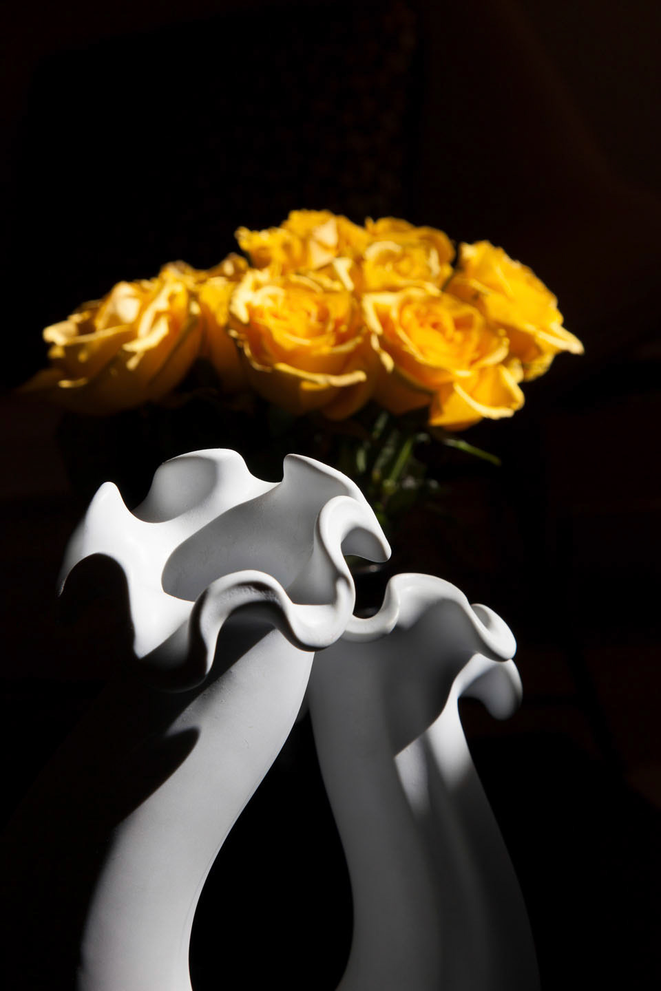 Photo by ©Jorge Parra /www.JorgeParra.com