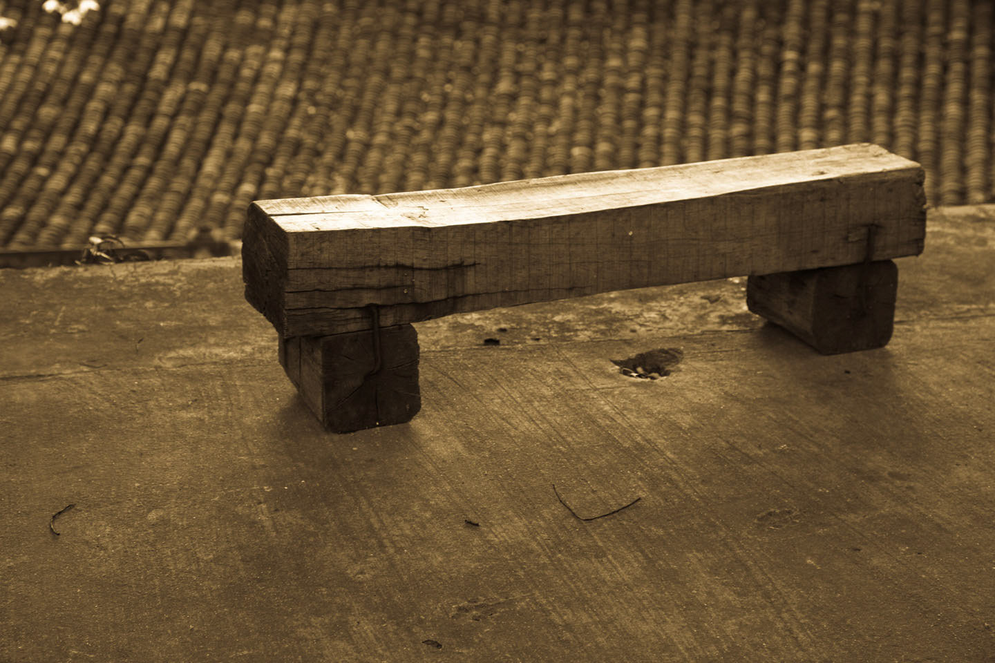 Photo by Jorge Parra.