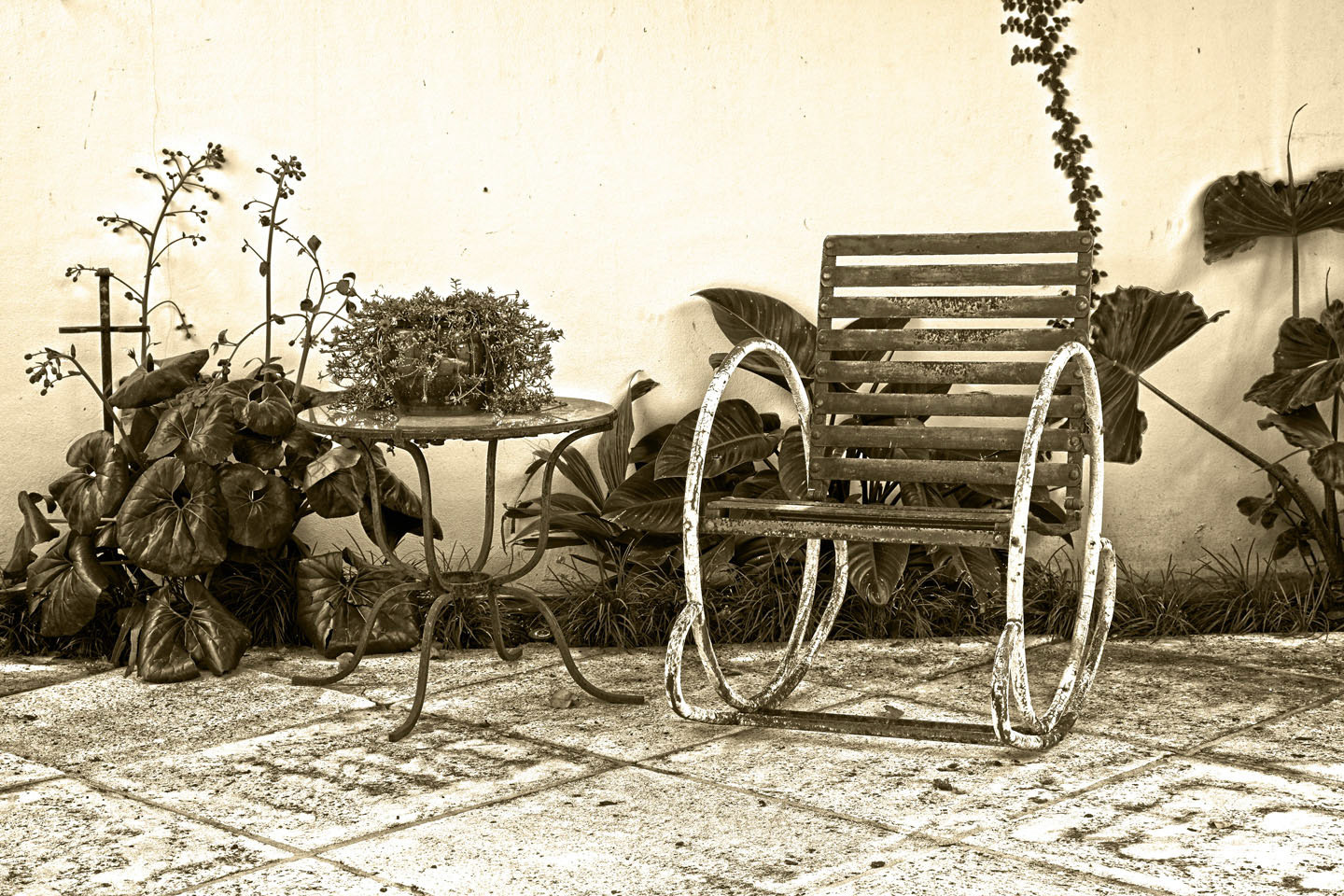 Photo by Jorge Parra.