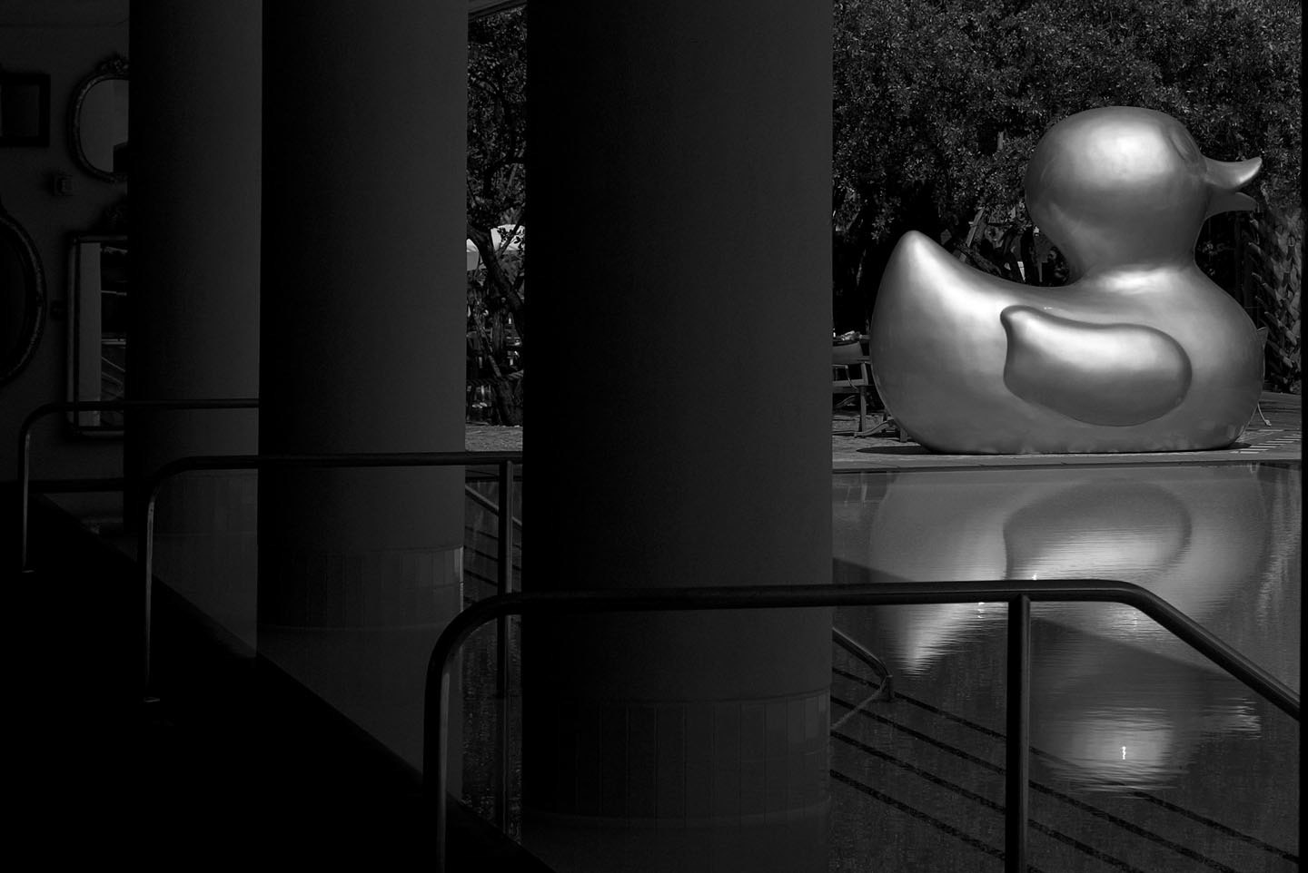 Photo by ©Jorge Parra