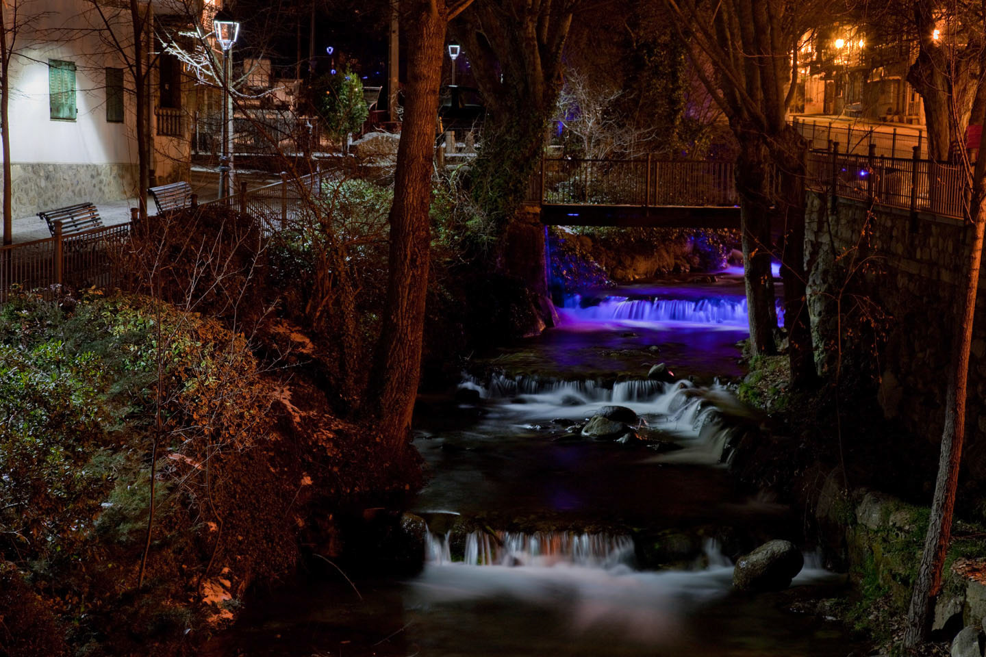 Photo by Jorge Parra.