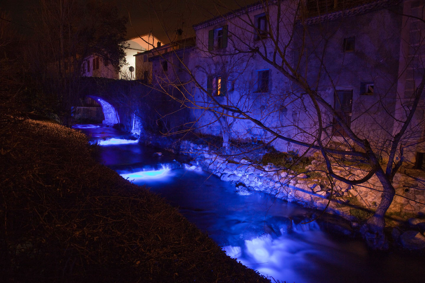 Photo by Jorge Parra.