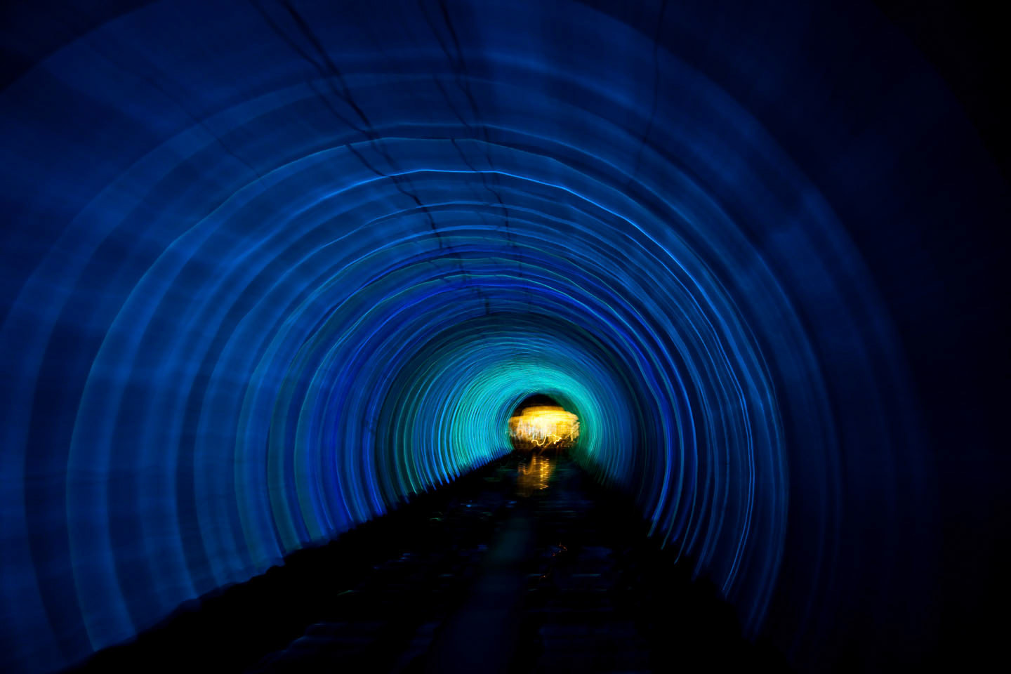 Photo by ©Jorge Parra