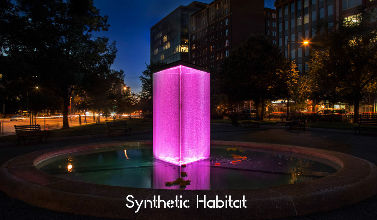 Photo by Jorge Parra.