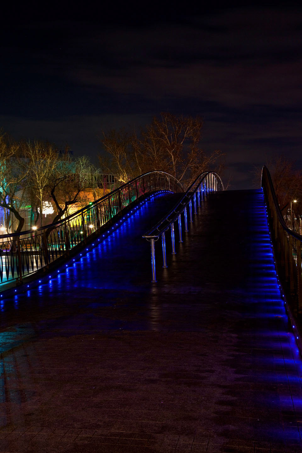 Photo by Jorge Parra.