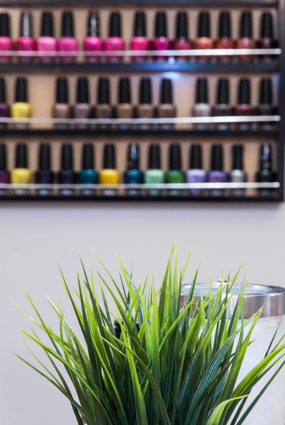 Photo by ©Jorge Parra / www.JorgeParra.com