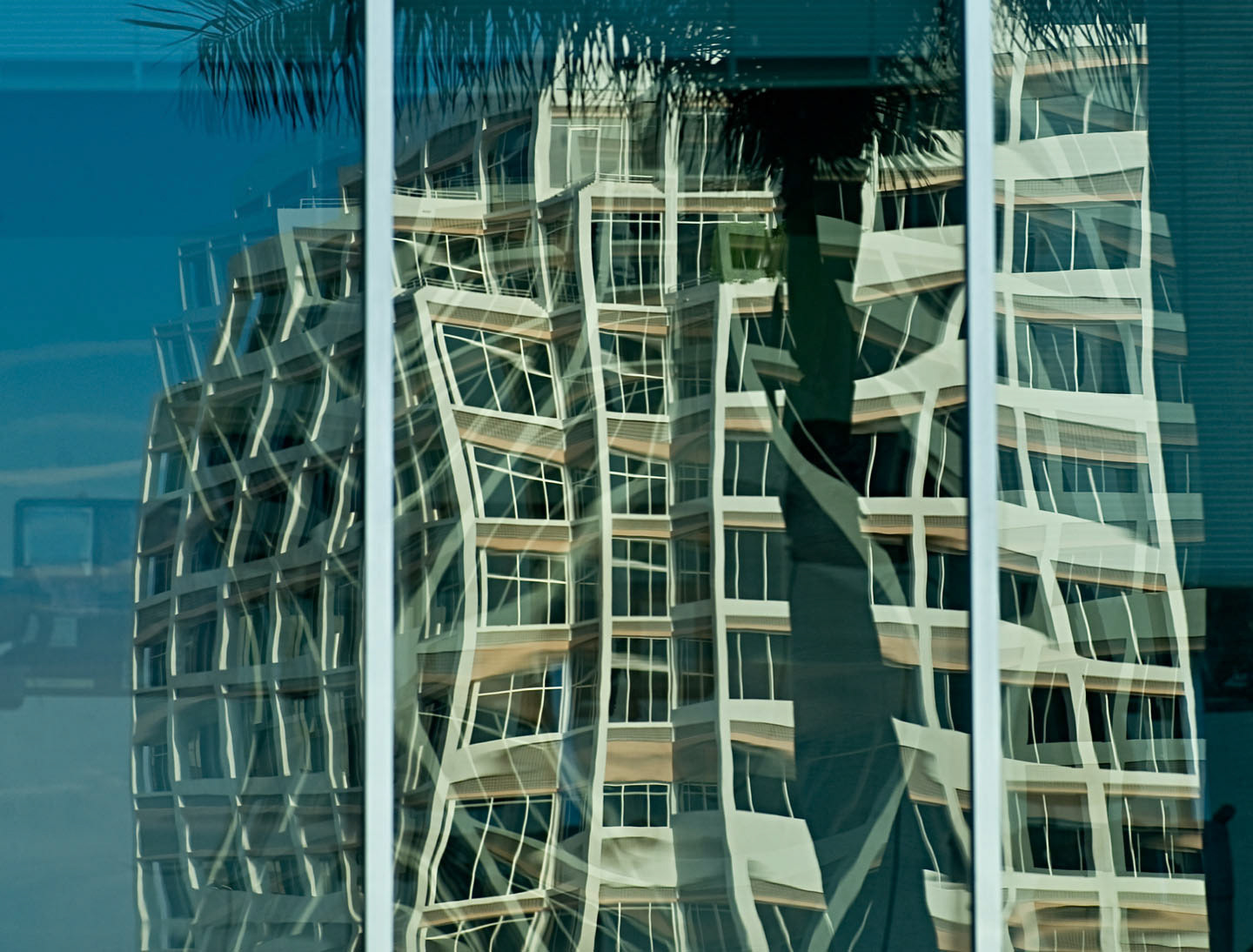 Photo by Jorge Parra.