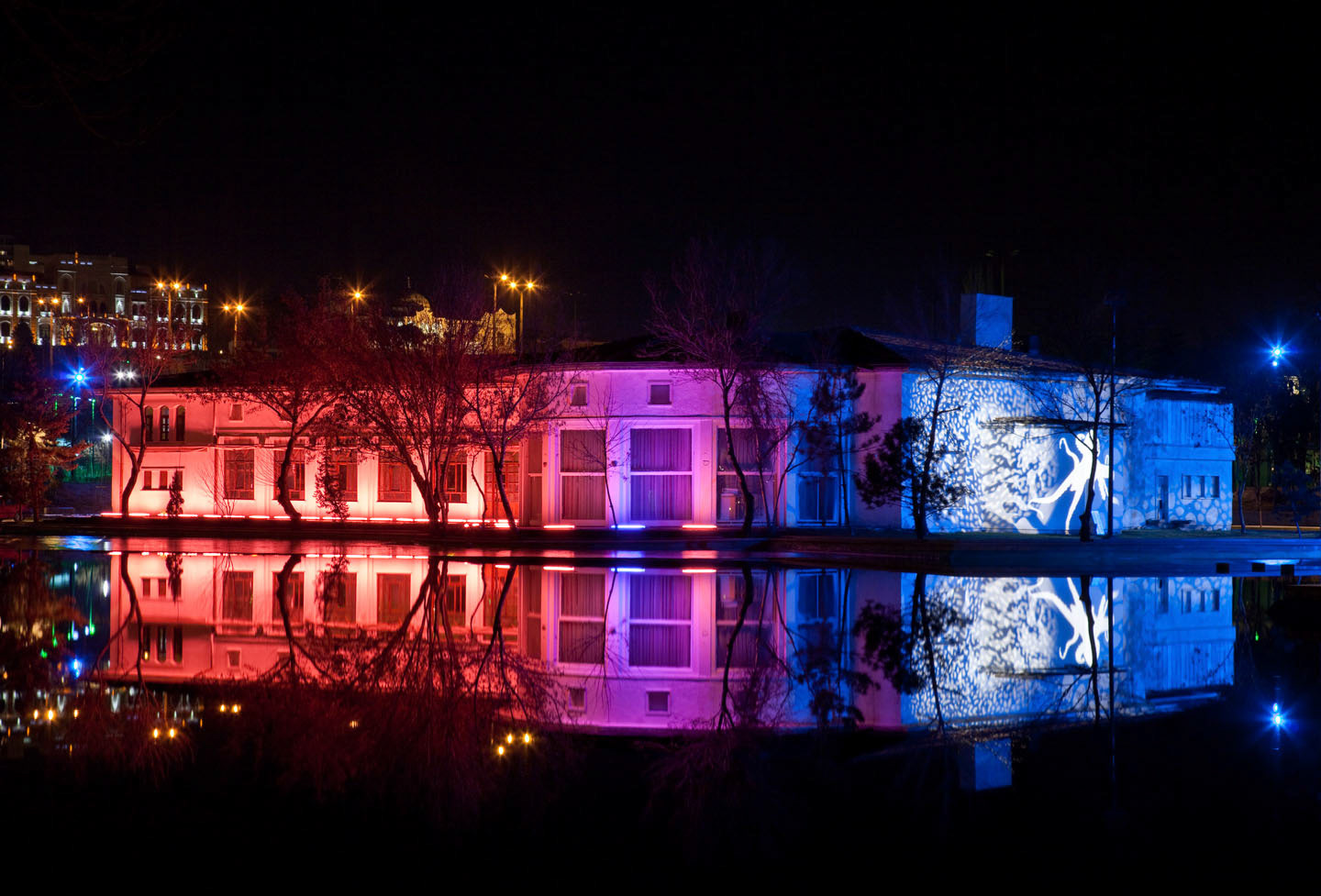 Photo by ©Jorge Parra /www.SyntheticHabitat.com