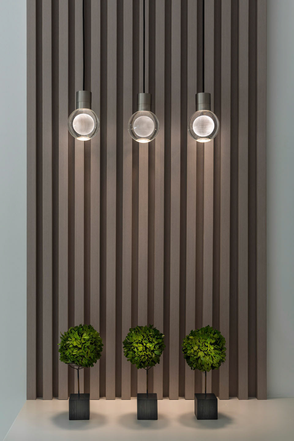 Photo by ©Jorge Parra / www.JorgeParra.com