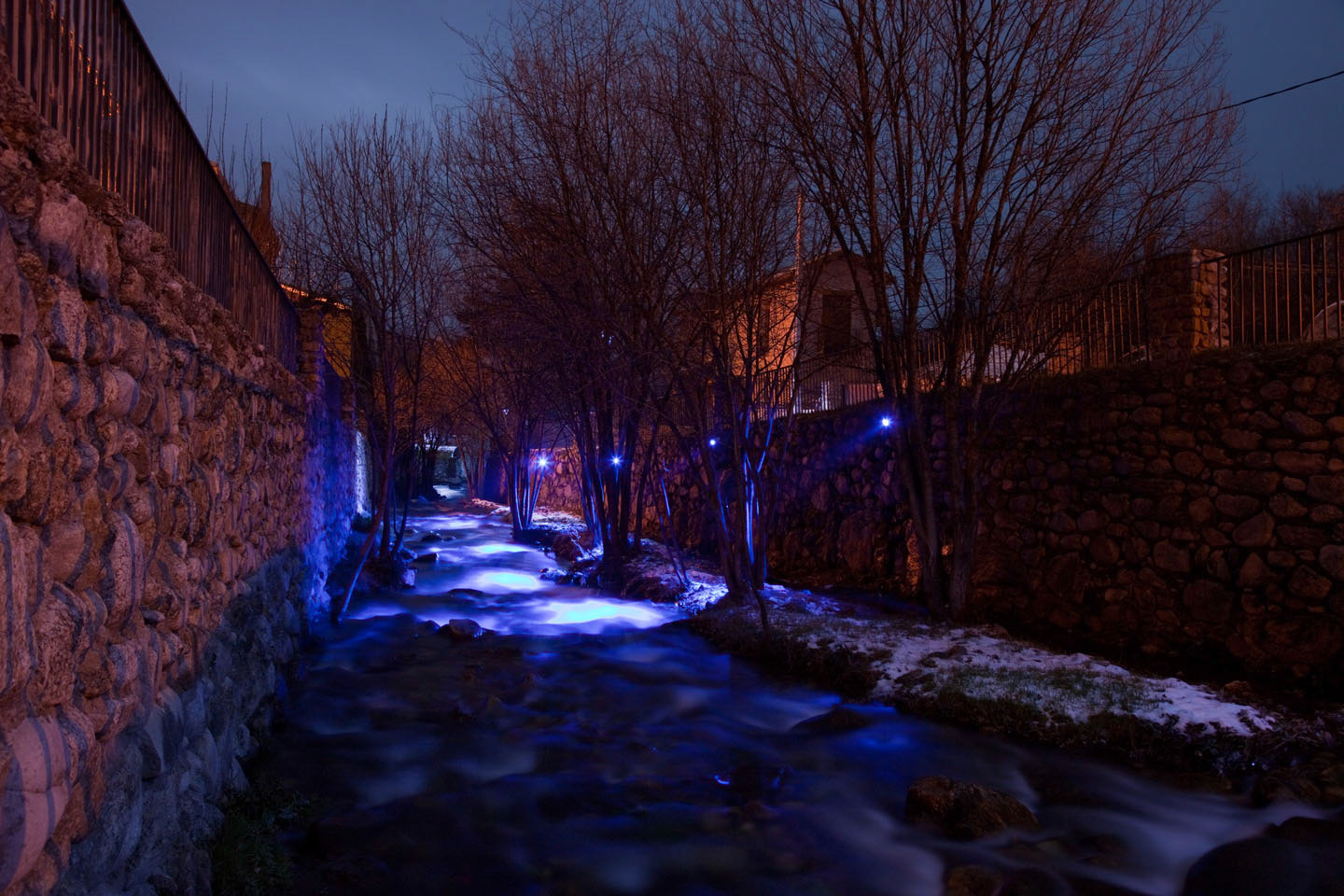 Photo by Jorge Parra.