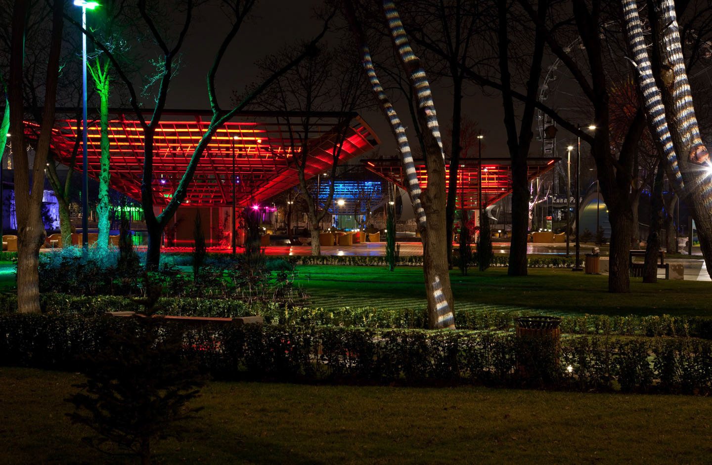 Photo by Jorge Parra.