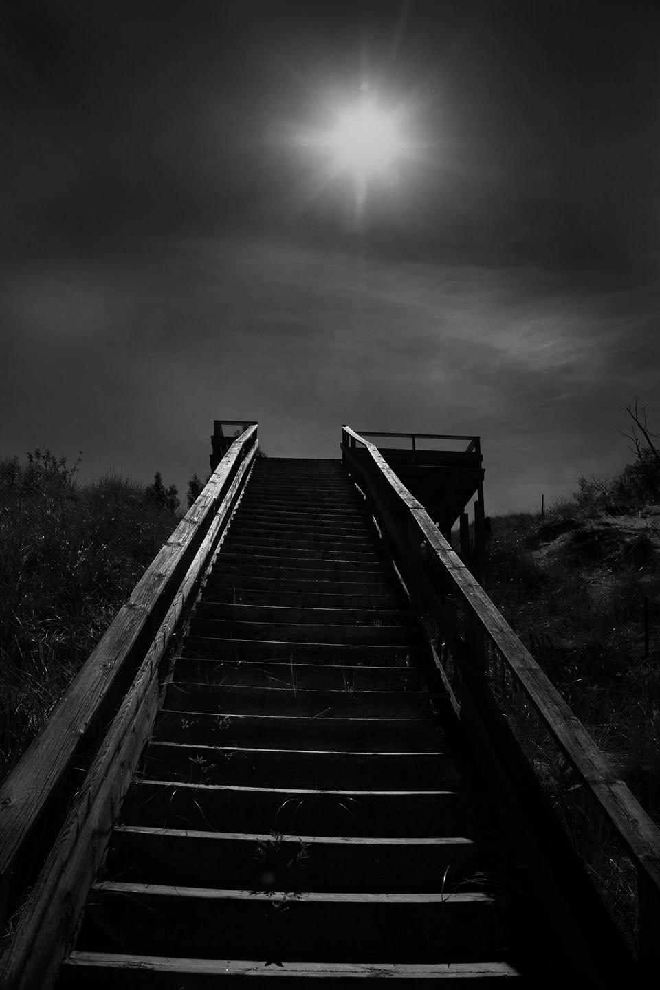 Photo by ©Jorge Parra /www.JorgeParra.com