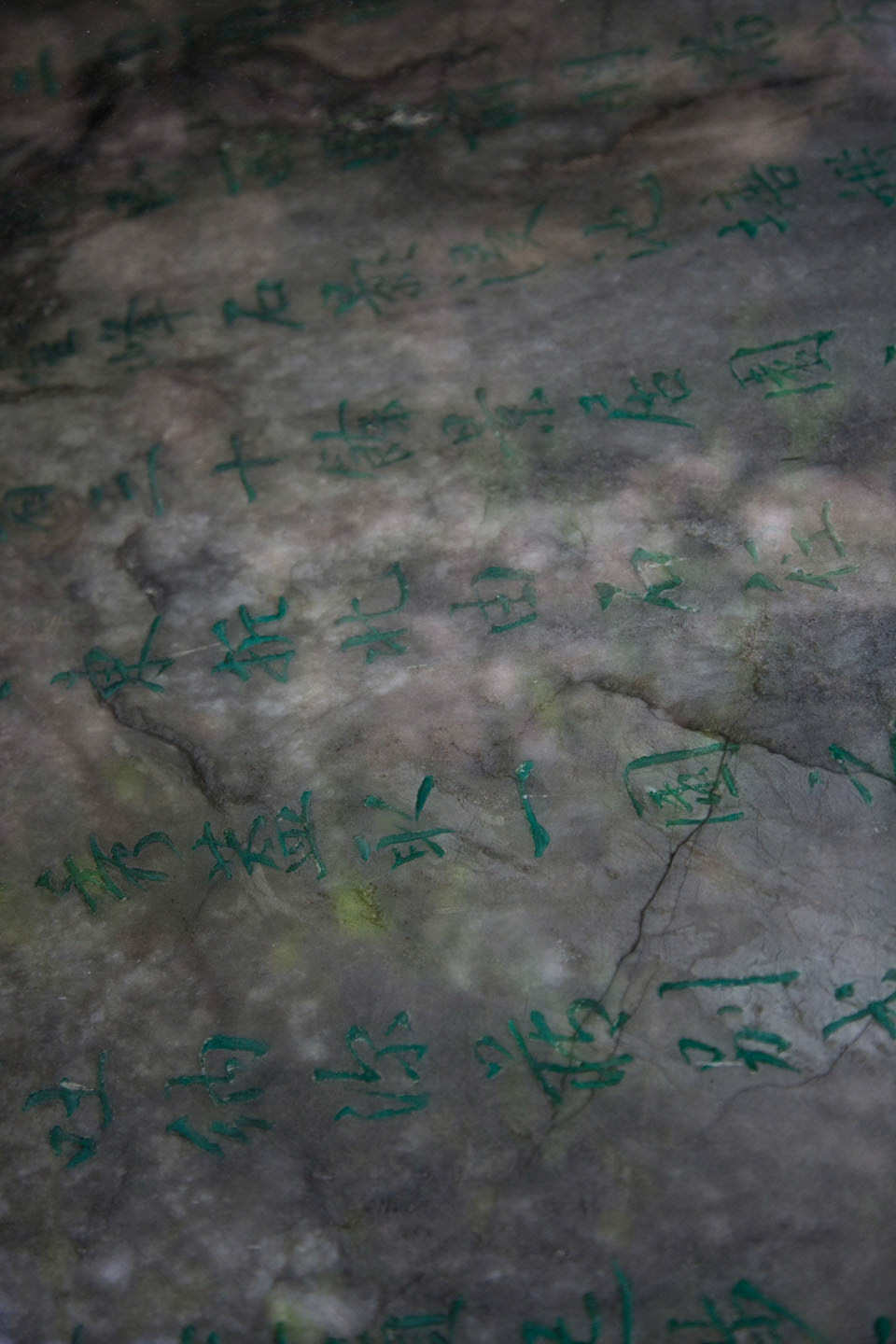 Photo by Jorge Parra.