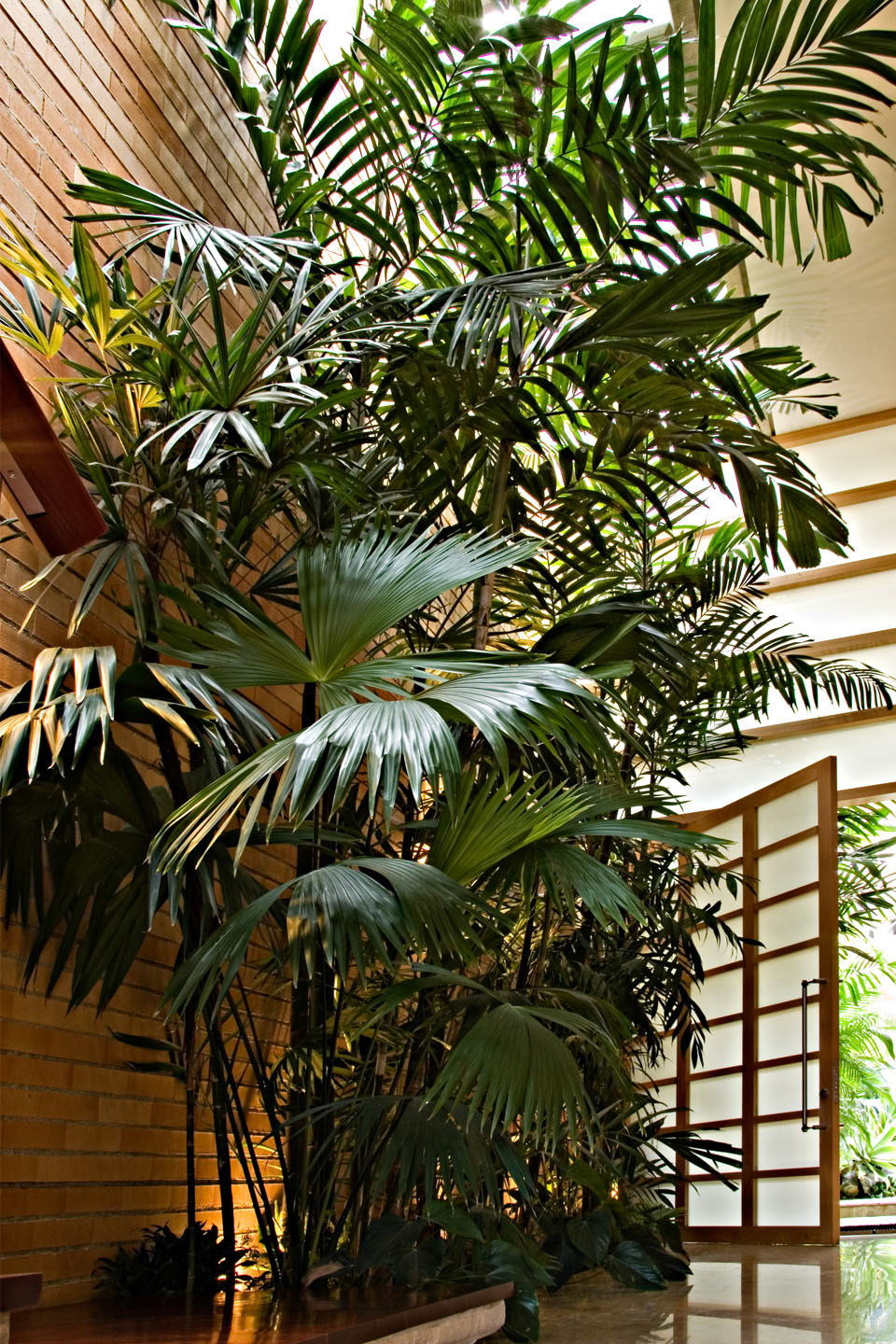 Photo by Jorge Parra.