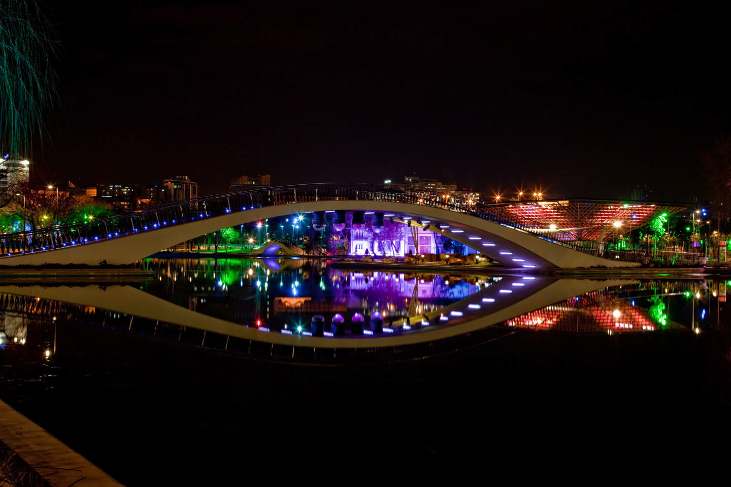 Photo by Jorge Parra.