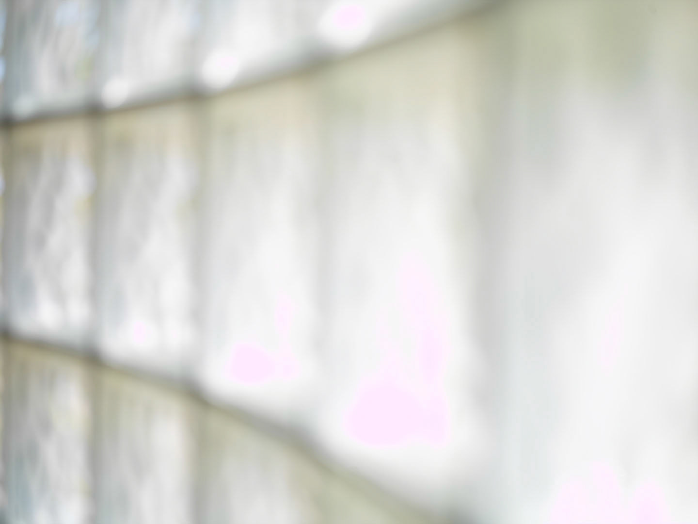 Photo by Jorge Parra.