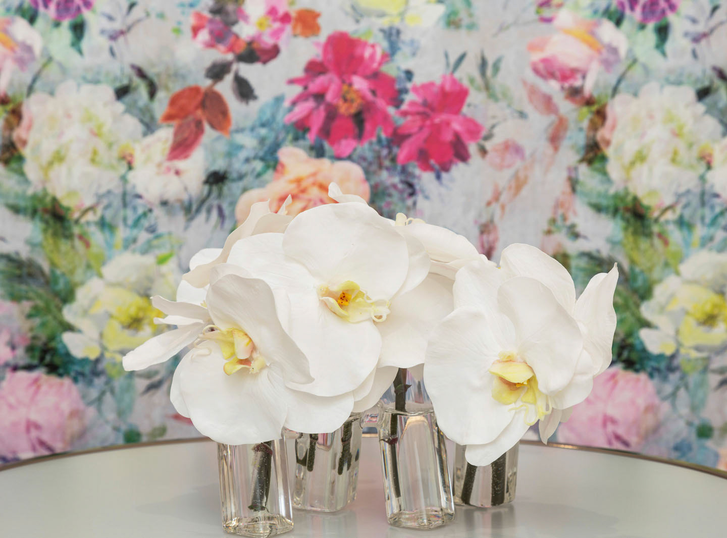 Photo by ©Jorge Parra / www.JorgeParra.com