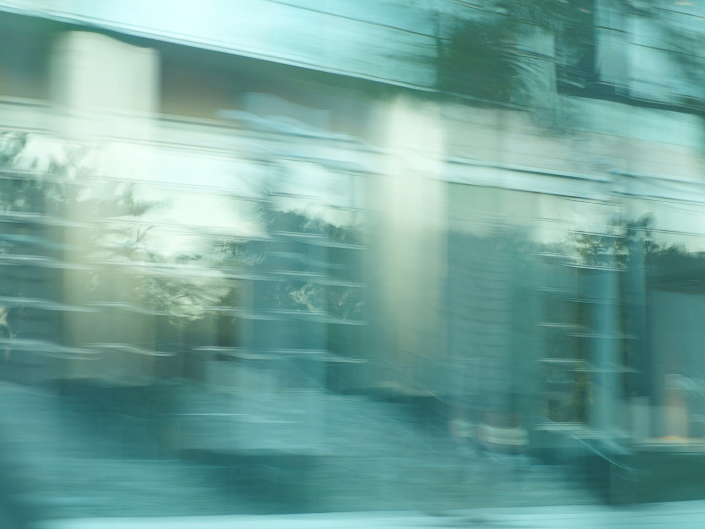 Photo by Jorge Parra.