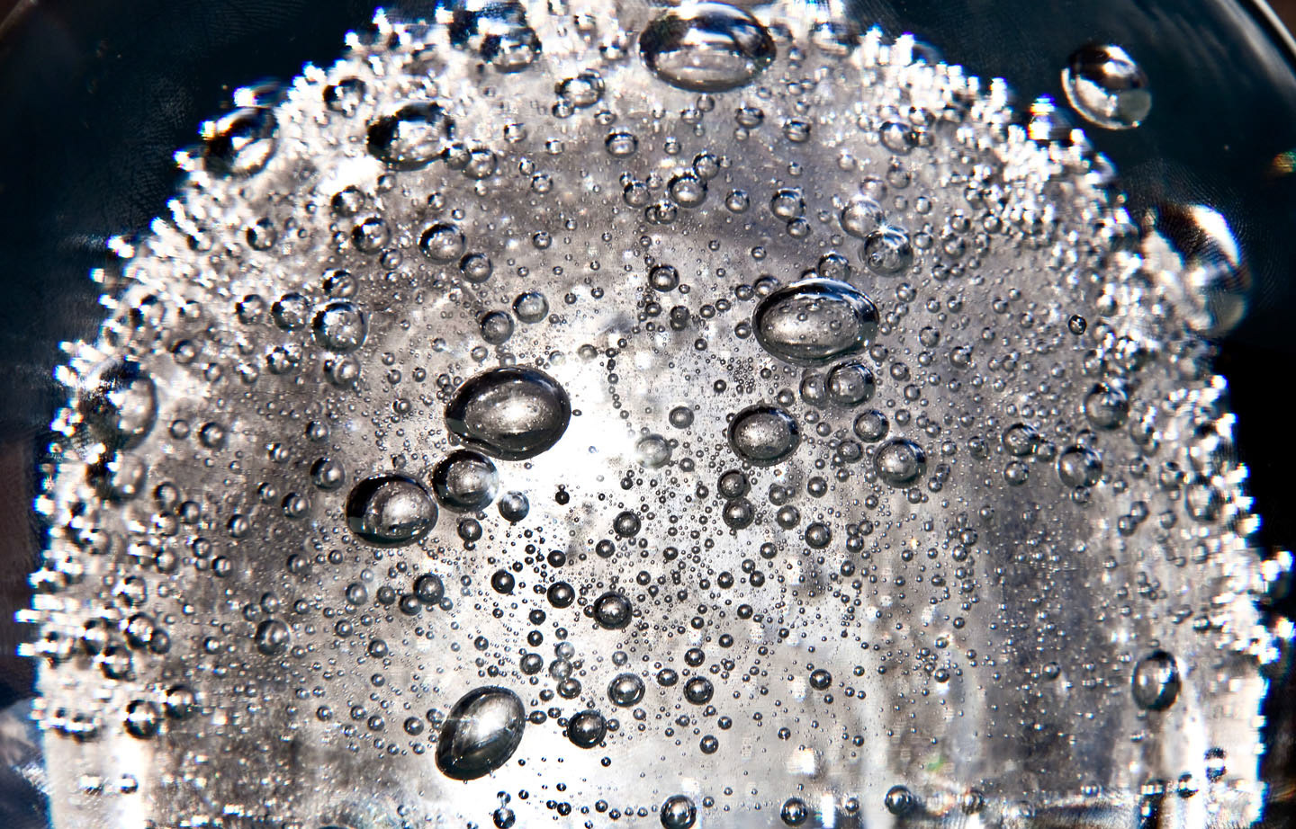 Photo by Jorge Parra.