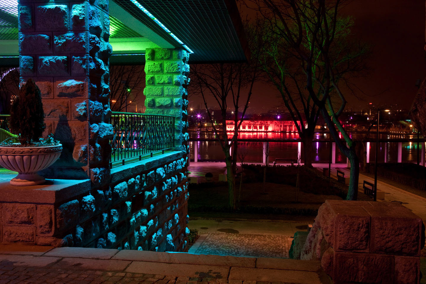 Photo by Jorge Parra.