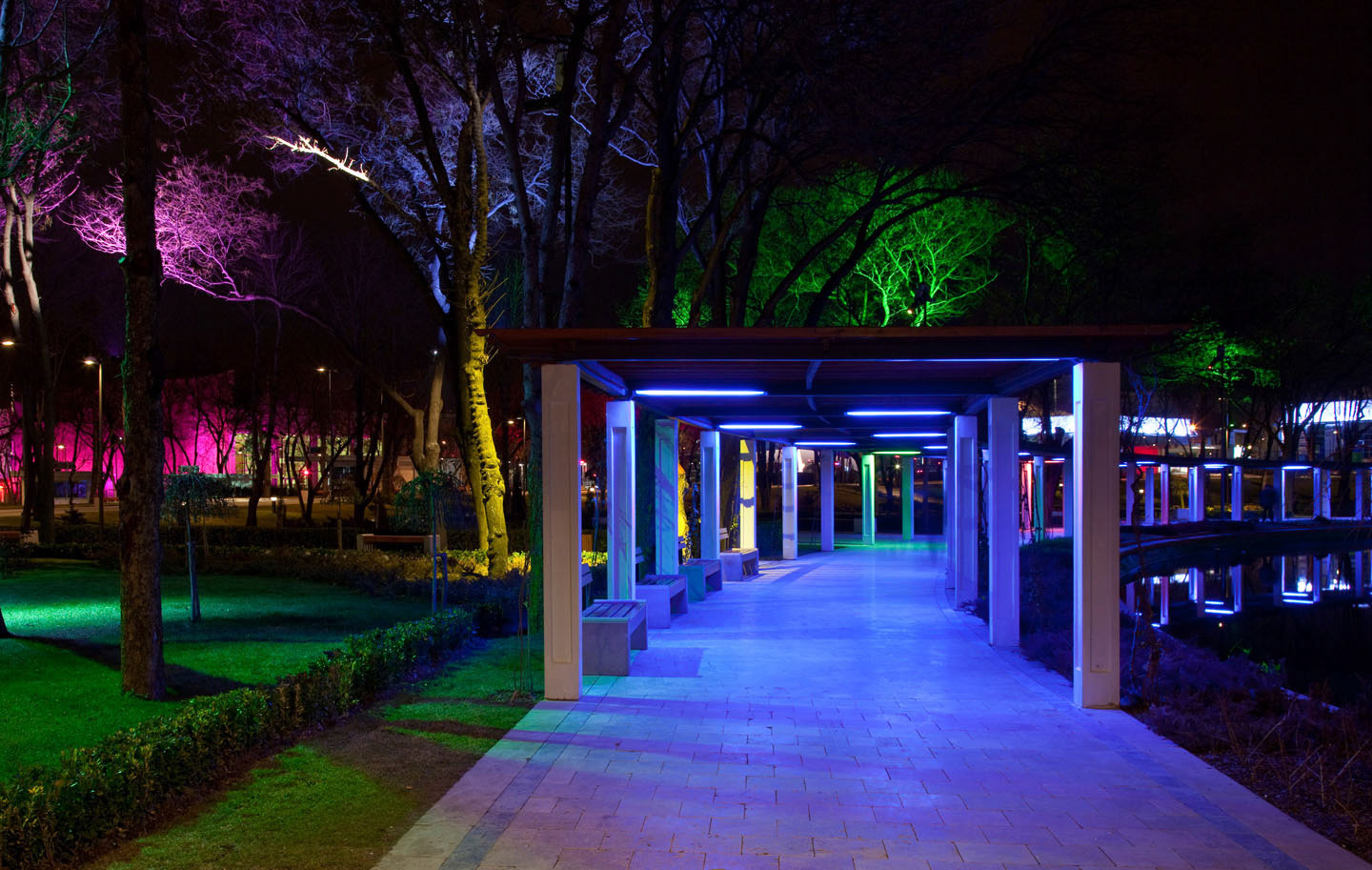 Photo by Jorge Parra.