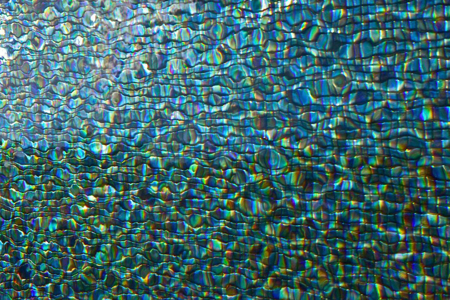 Photo by Jorge Parra.